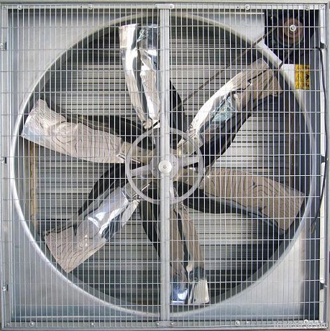 Centrifugal Exhaust Fan