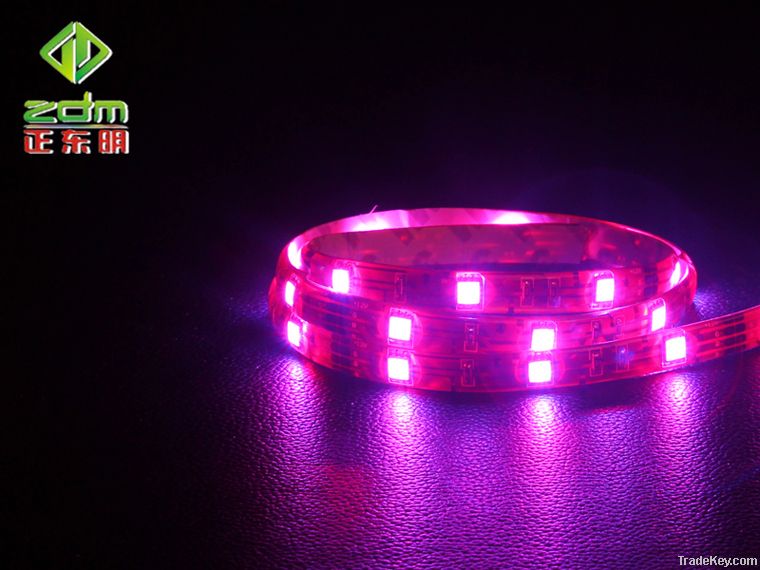 DC12V Nonwaterproof SMD3528 Flexible LED Strip Light