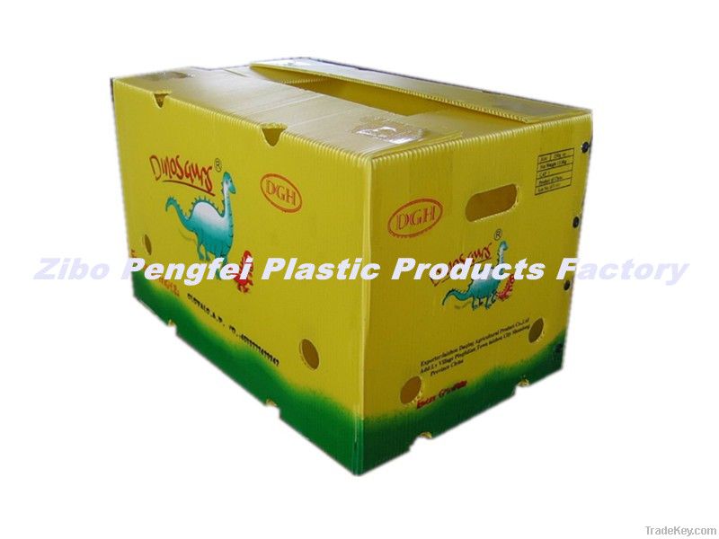 Ginger exporting use packing box made of pp corrugated  board