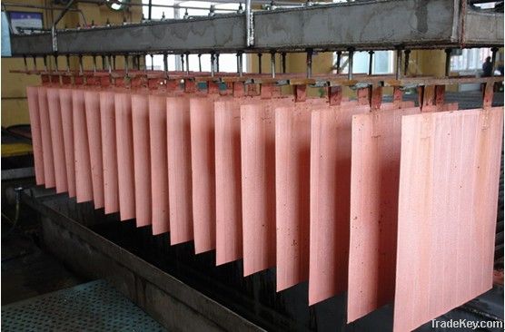 Copper cathode