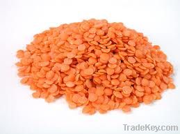 Red Lentils