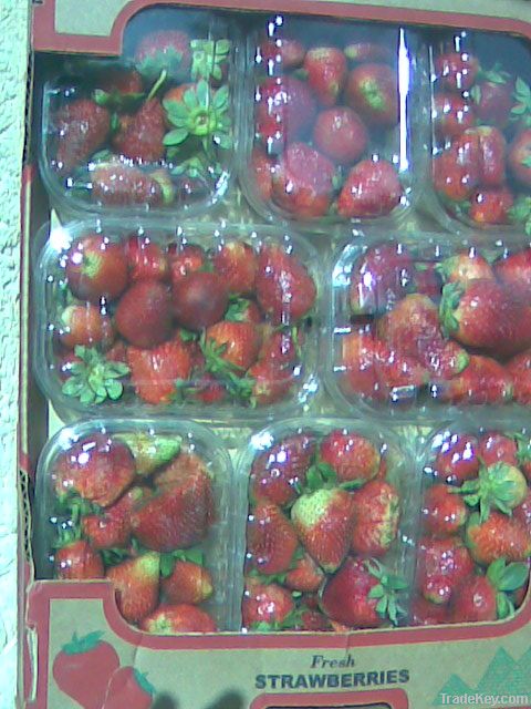 Fresh Strawberry