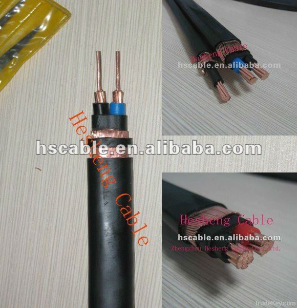 Type SER - Service Entrance Flat/Round Copper Electrical Cable