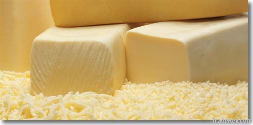 Organic Cheese | Bulk Quantity | Best Price