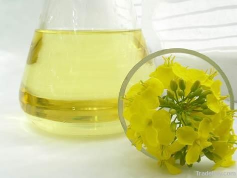 Sunflower Oil