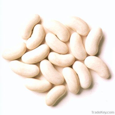 WHITE KIDNEY BEANS