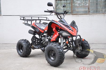 125cc/150cc/250cc atv for field work(QW-ATV-08)