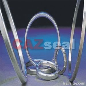 Ring Joint Gasket