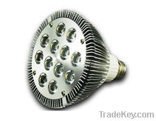 PAR30 LED Spotlight