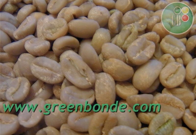  Export Green Coffee Beans | Green Coffee Bean Importer | Green Coffee Beans Buyer | Buy Green Coffee Beans | Green Coffee Bean Wholesaler | Green Coffee Bean Manufacturer | Best Green Coffee Bean Exporter | Low Price Green Coffee Beans | Best Quality Gre