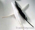 goose feather