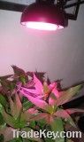 LED Grow Light