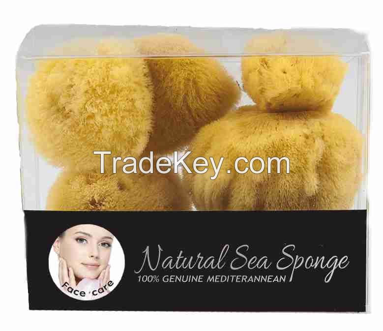 Sea sponge for face care