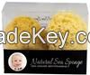 Sea sponge for baby bath