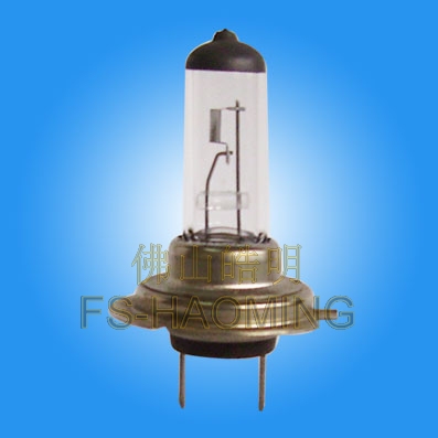 sell halogen auto bulb H7