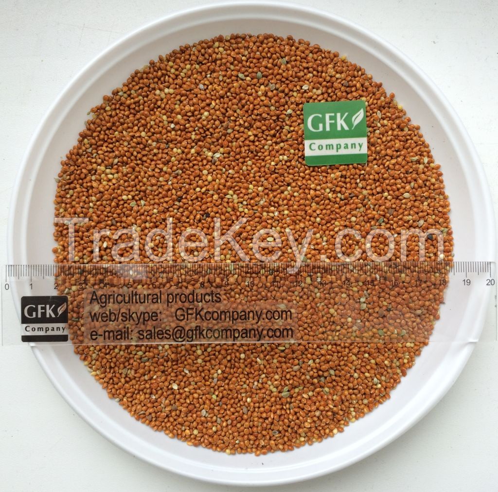 Millet (red, white, yellow)