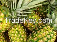 Fresh Pineapples