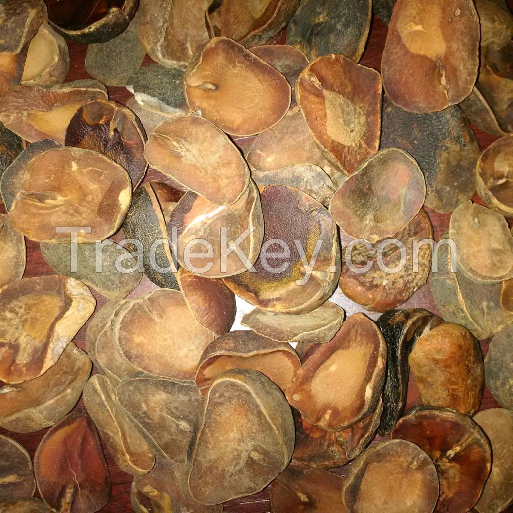 KOLA NUT POWDER