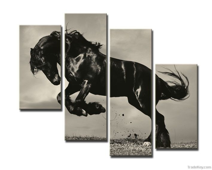 horse canvas print