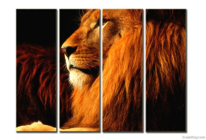 Lion canvas print