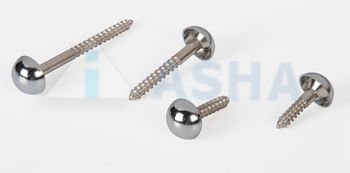 Mirror Screw