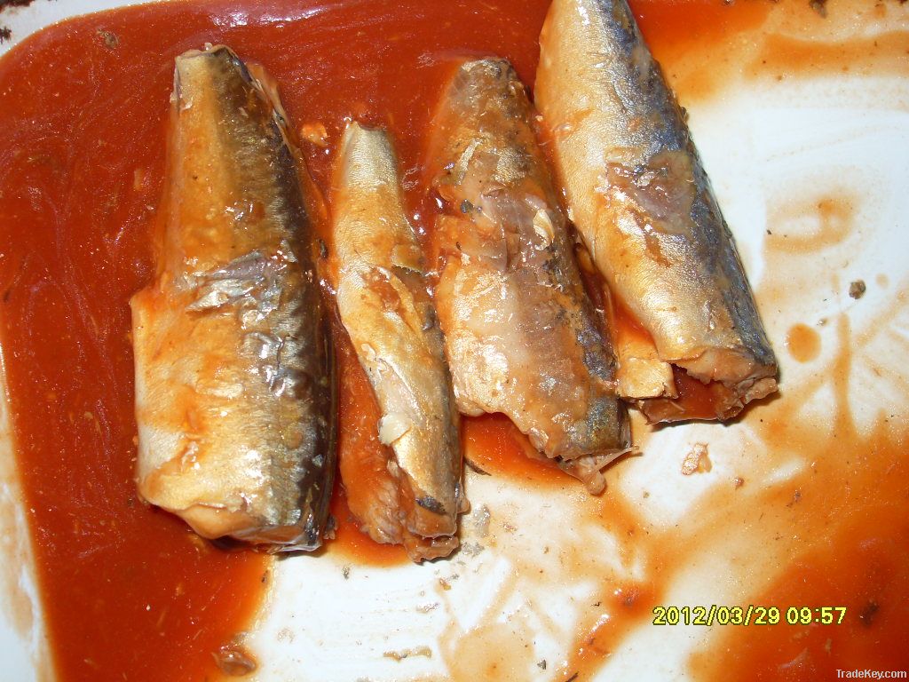 Chinese canned sardines in tomato sauce