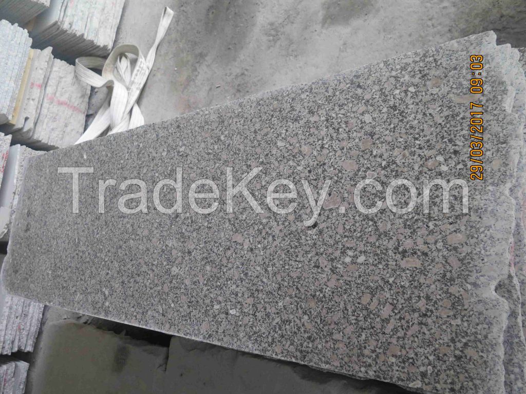 Chinese Pink Granite--ROSA PORRINO Granite Slab Granite Tiles