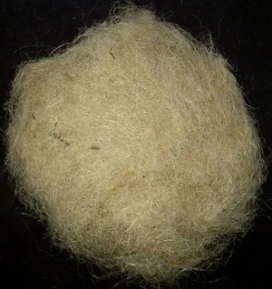 RAW JUTE FIBER