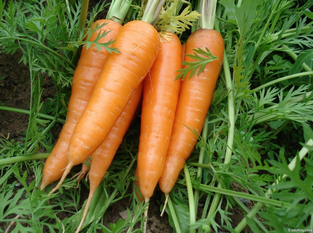 Beta-Carotene