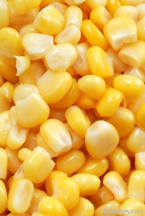 Canned Sweet Corn Kernel 