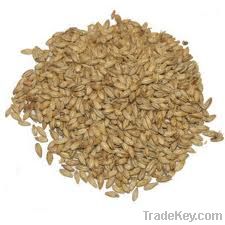 BARLEY MALT