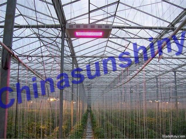 LED Grow Light