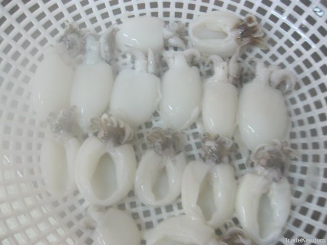 FROZEN BABY CUTTLEFISH WHOLE CLEANED