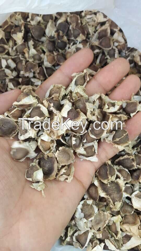 Moringa Seeds