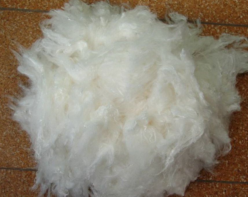 Viscose staple fiber （functional）