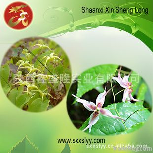 Epimedium