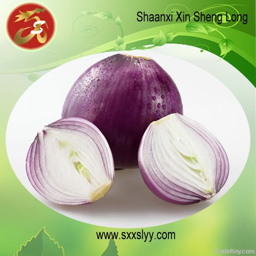 Onion extract