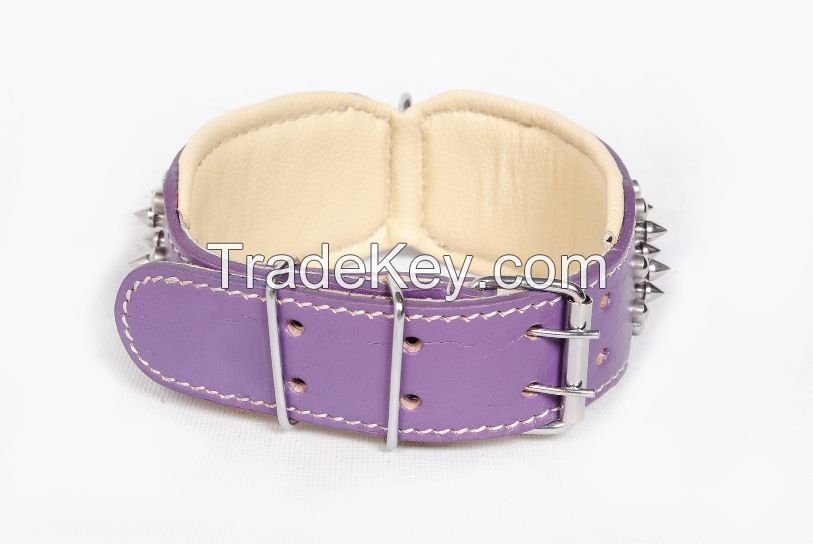 Leather Dog Collar