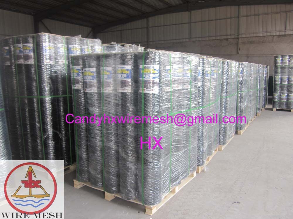 PVC hexagonal wire mesh