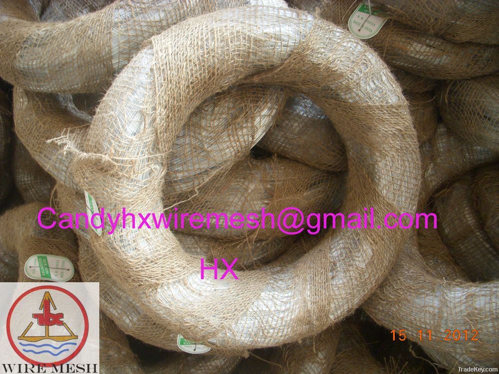 Galvanized iron wire