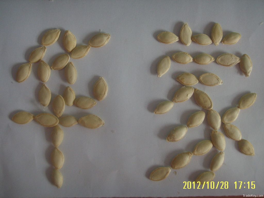 :pumpkin seeds