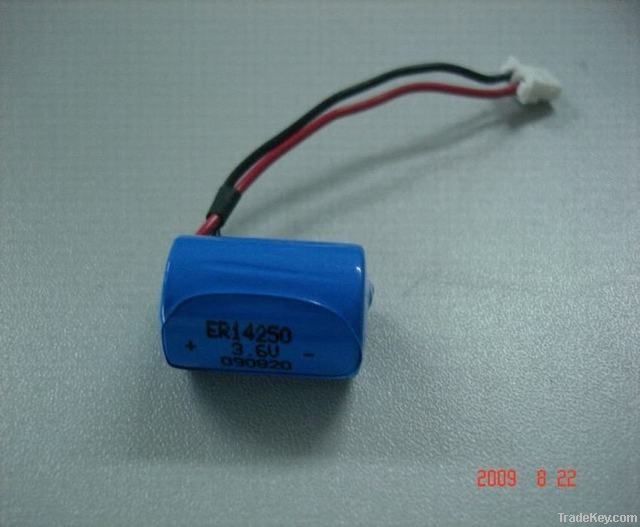 Lithium Battery 3.6V AA size, C size, D size