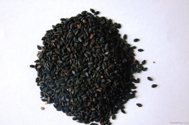 Black Sesame Seed