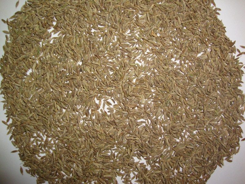 Cumin Seed