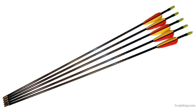 Archery Arrows