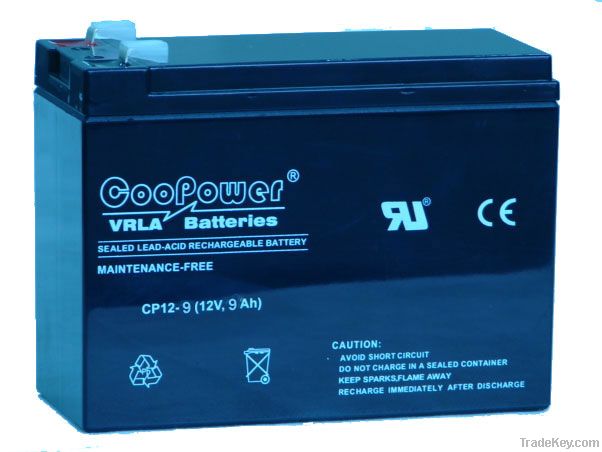 12V9AH VALVE REGULATED  LEAD ACID BATTERY