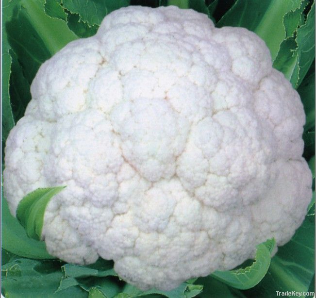 Cauliflower