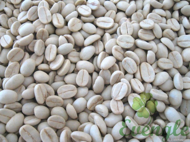  Export Green Coffee Beans | Green Coffee Bean Importer | Green Coffee Beans Buyer | Buy Green Coffee Beans | Green Coffee Bean Wholesaler | Green Coffee Bean Manufacturer | Best Green Coffee Bean Exporter | Low Price Green Coffee Beans | Best Quality Gre