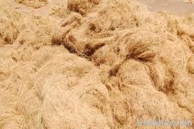Cocount Fibre, Cocount, Coir