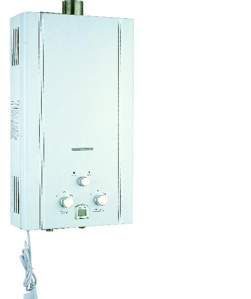 Instant Gas Water Heaters (Flue type)